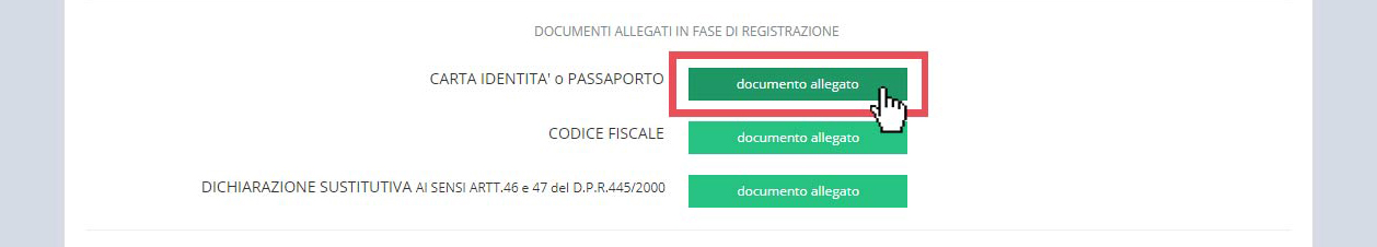 immagine pagina visualizza account, pulsante documento allegato